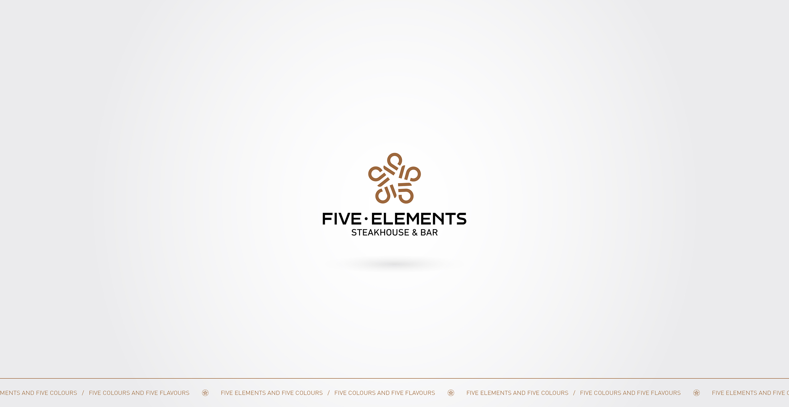 Five Elements站酷-调整_画板 2.jpg