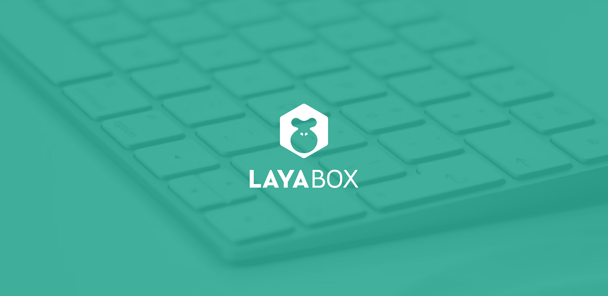LAYABOX网站版_画板 1.jpg