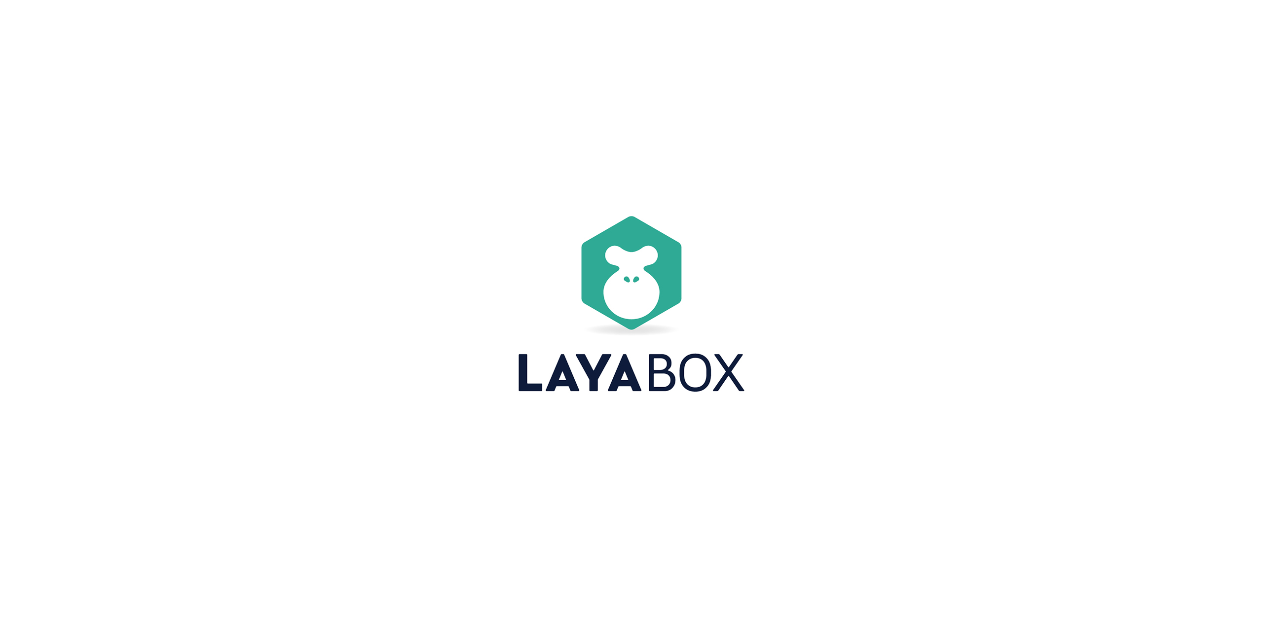 LAYABOX网站版_画板 2.jpg
